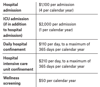 Voluntary Benefits - Lockton Employee Connects